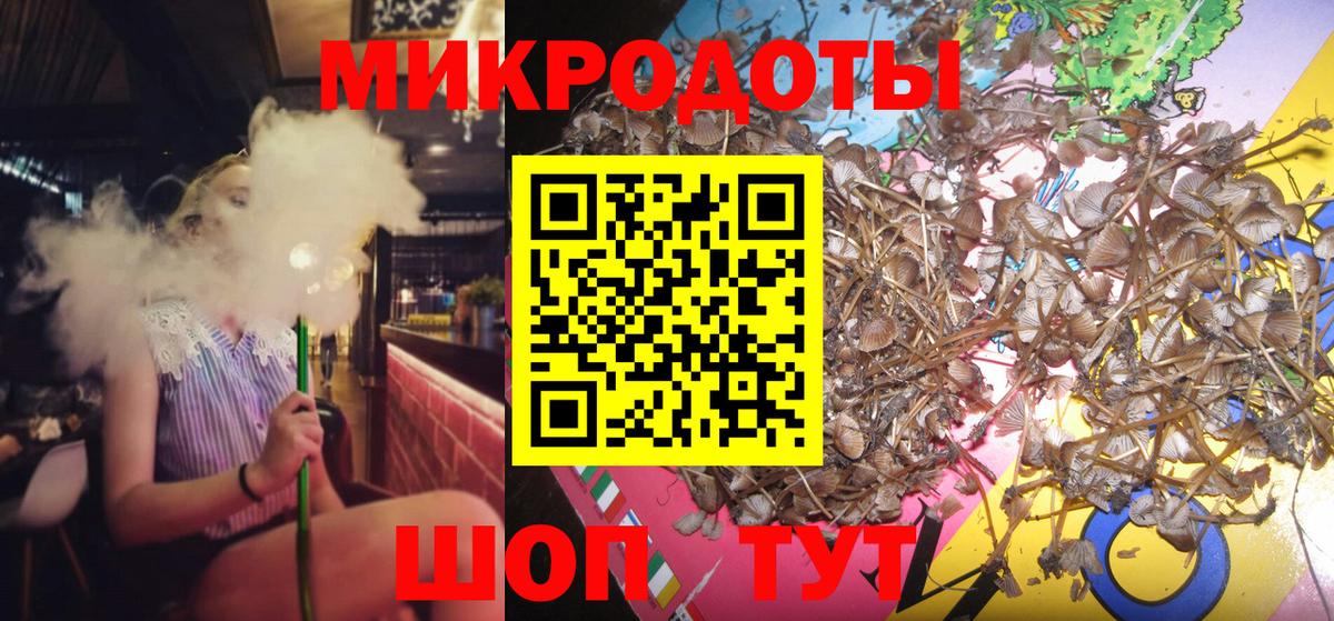 Псилоцибиновые грибы Cubensis  Псилоцибиновые грибы прущие грибы  Орск  Вход с VPN 